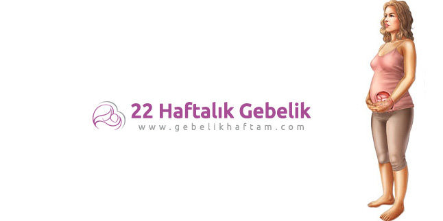 22 Haftalık Gebelik