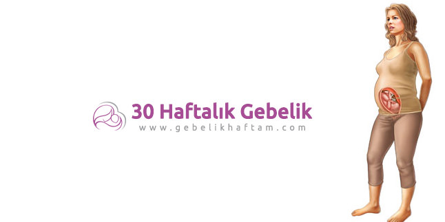 30 Haftalık Gebelik