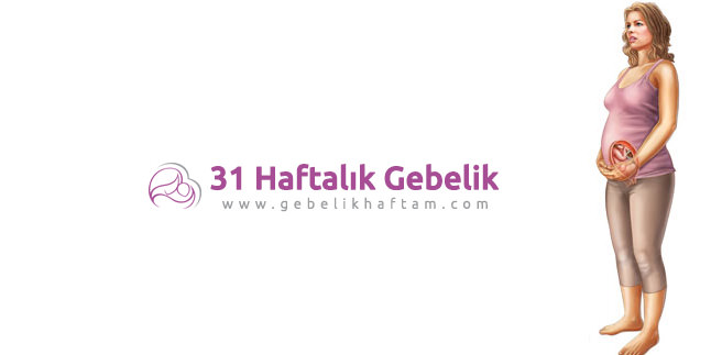 31 Haftalık Gebelik