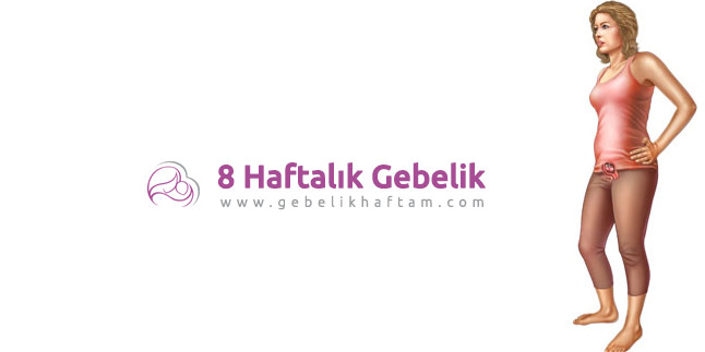 8 Haftalık Gebelik